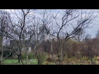 Включите звук и послушайте пение птиц в лесу😍
📍Утро в селе Шабановское, Северский..
