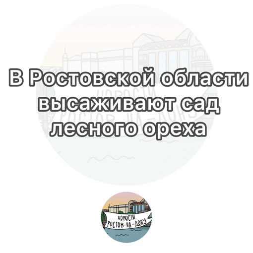 В Ростовской области высаживают сад лесного ореха - фундука

Он появится в Каменском районе, площадь..