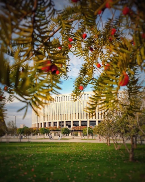 Осенний парк Краснодар определенно стоит посетить 😍

Фото:..