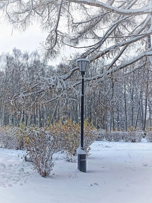 В городском парке г. Городца💙
 
фото: Татьяна..