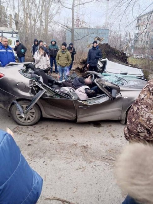 Дерево упало на автомобиль в Новокузнецке, в котором находились четыре человека, двое из них погибли, еще..