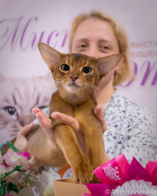 Уникальное событие в Москве! «Коралловое Шоу Кошек»! Приходите 18-19 ноября 2023г. в Торговый Центр «РМ», рядом с..