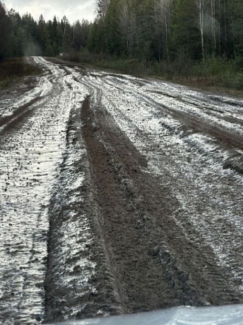 В Березниковском городском округе есть поселок Легино. Дорога в Легино в ужасном состоянии, кроме того, эта..