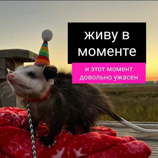 🗨 Вечерний чат..