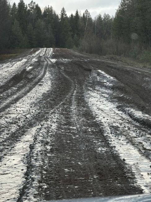 В Березниковском городском округе есть поселок Легино. Дорога в Легино в ужасном состоянии, кроме того, эта..