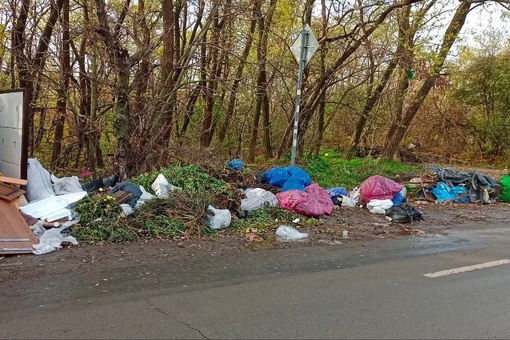 Проблема с мусором в Ростове стоит очень остро

На пересечении улиц Самшитовая и Шостакович даже с новыми..