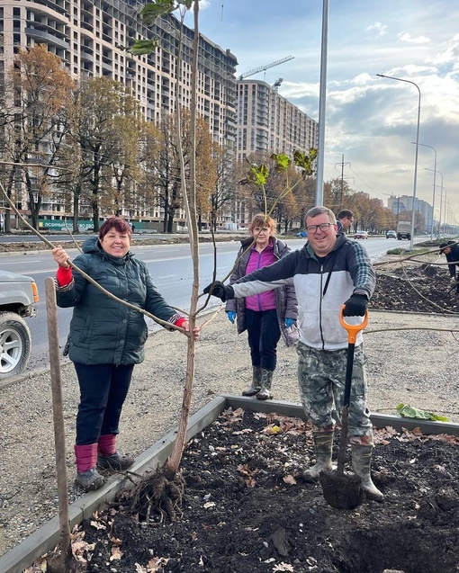 Жители Краснодара продолжают сажать деревья 🌳🌳🌳

Вчера на улице Батуринской высадили более 100 павлоний и..