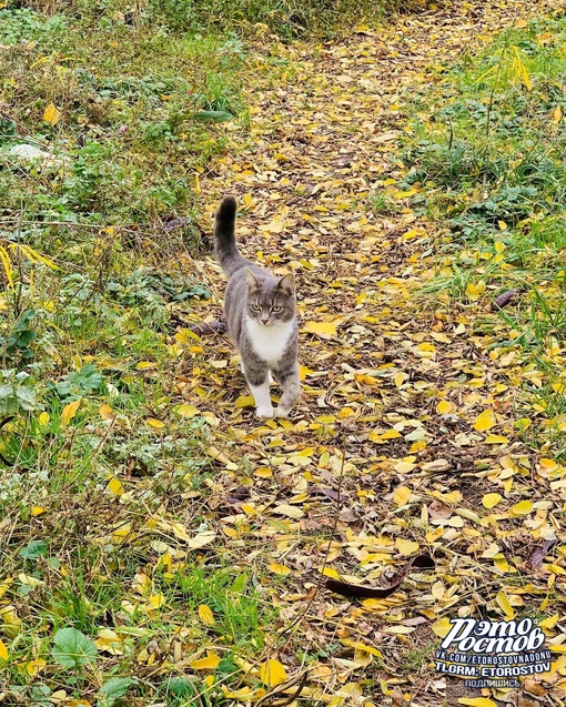 🍁 Осень в парке Авиаторов..