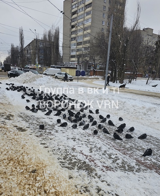 В "Танаисе" собрание по улучшению парка..