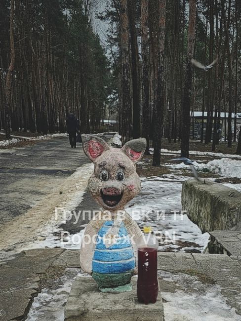 Пятачок в парке Танаис так страшно выглядит,  что  начал..