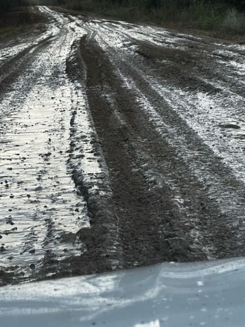 В Березниковском городском округе есть поселок Легино. Дорога в Легино в ужасном состоянии, кроме того, эта..