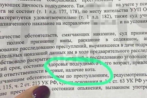 Впервые в истории России кот стал смягчающим обстоятельством для преступника в суде. В Кемерово мужчине..