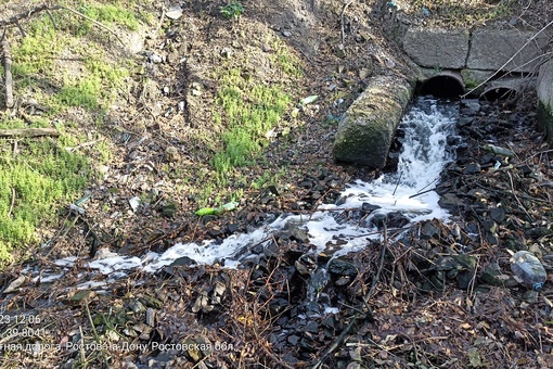 В Щепкинском лесу местные заметили пену и муть в местном водоёме.

"С недавнего времени для очистки..