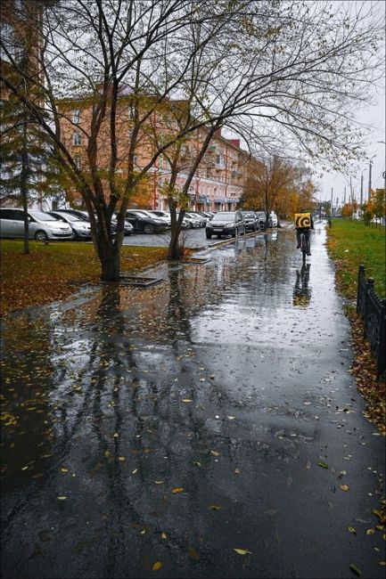 Первый месяц зимы в Омске начнётся с дождей

По данным Gismeteo, в начале декабря днём будет в среднем -1 градус, по..