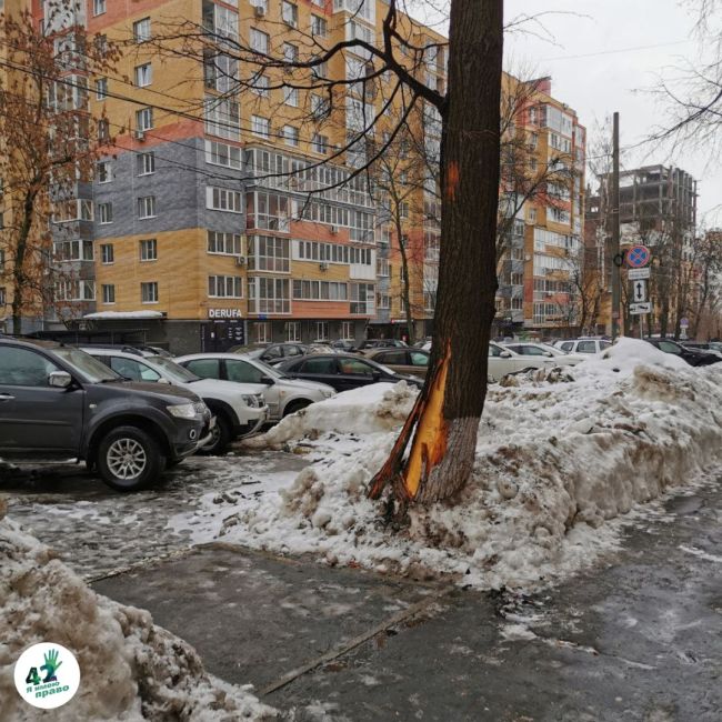 💸🌳❄

1 миллиард рублей заложили на содержание объектов озеленения Нижнего Новгорода в 2024 году

Передает..