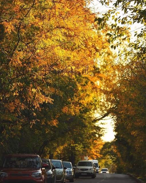 Если постараться, в Новороссийске можно найти очень красивую золотую осень 🍁 А в конкурсе на самое красивое..