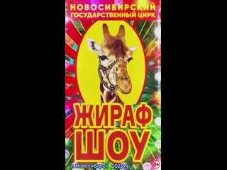 Только до 3 декабря Жираф шоу в Новосибирском цирке! Спешите видеть - прямо сегодня на эти выходные купите..