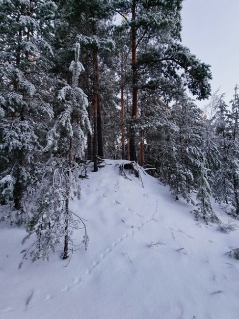 Сосновский район. Песчаный карьер около деревни Рыльково💙

фото Натальи..