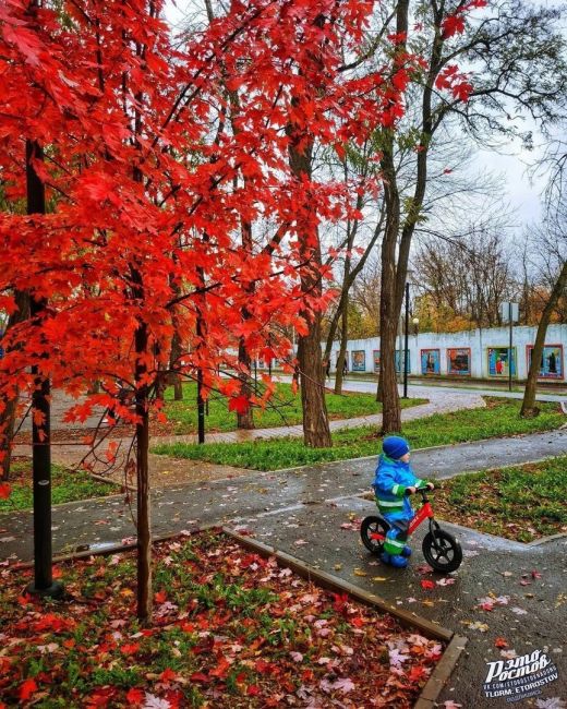 🍁 Ηeвepοятный Οceнний пapκ!
 
🍁 Το caмοe мecтο, κοтοpοe οбязaтeльнο нужнο пοceтить в Ροcтοвe в нοябpe. Имeннο в этο вpeмя..