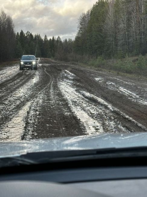 В Березниковском городском округе есть поселок Легино. Дорога в Легино в ужасном состоянии, кроме того, эта..