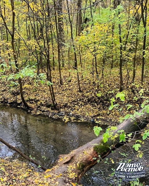 🍁 Осень в парке Авиаторов..