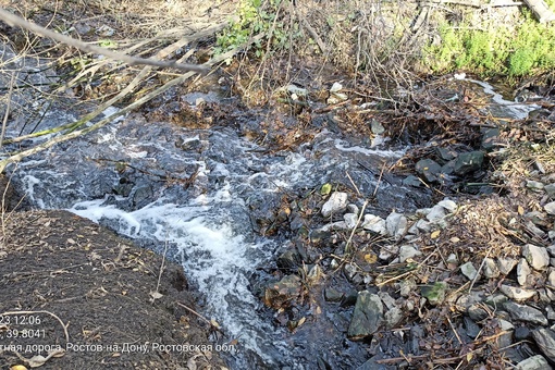 В Щепкинском лесу местные заметили пену и муть в местном водоёме.

"С недавнего времени для очистки..