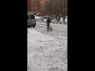 Вся суть уборки снега в Петербурге в одном видео. Как говорится, если вы считаете свою работу бессмысленной и..
