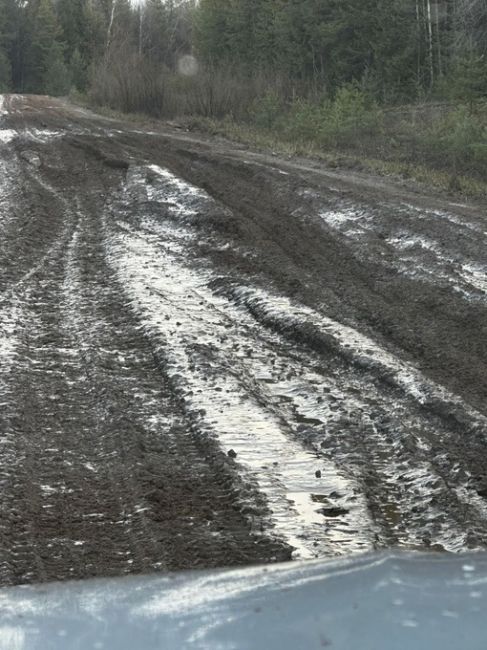 В Березниковском городском округе есть поселок Легино. Дорога в Легино в ужасном состоянии, кроме того, эта..