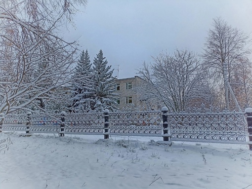 В городском парке г. Городца💙
 
фото: Татьяна..