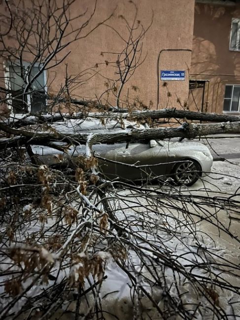 Грозненская, 10. Дерево придавило автомобиль.

Новости без цензуры (18+) в нашем телеграм-канале..