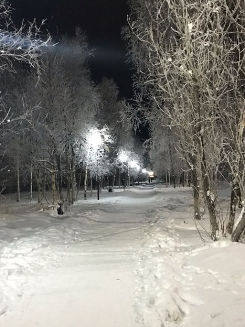 В Воронежской области 19 и 20 ноября ожидается сильный снегопад. Об этом предупредили местных жителей местные..