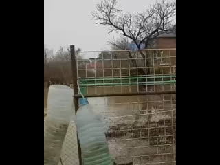 ⚡️В станице Анапской после ливня в одном из дворов частного сектора образовалось озеро и прилетели..