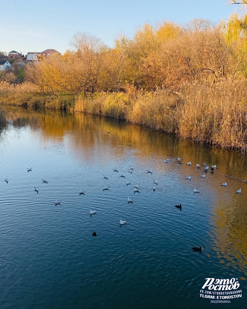 🍂 Золотая осень на Каменке в..