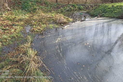 В Щепкинском лесу жители заметили, что в местном водоеме плавает какая-то пена

Они считают, что таким..