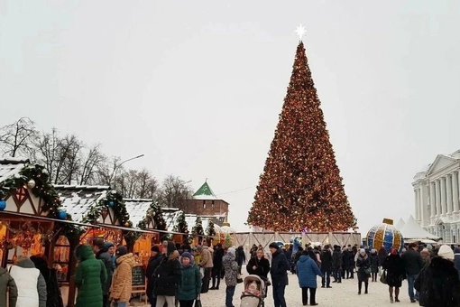 🎄Главную новогоднюю елку города установят на площади Минина к 10 декабря.

Также в городе установят и..