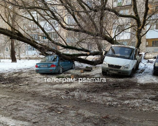 Опубликованы кадры последствий падения огромного дерева в Промышленном районе Самары 

Владельцы..