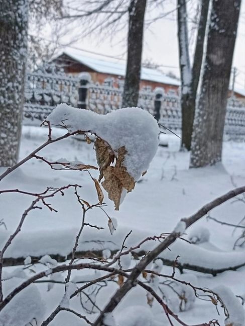 В городском парке г. Городца💙
 
фото: Татьяна..