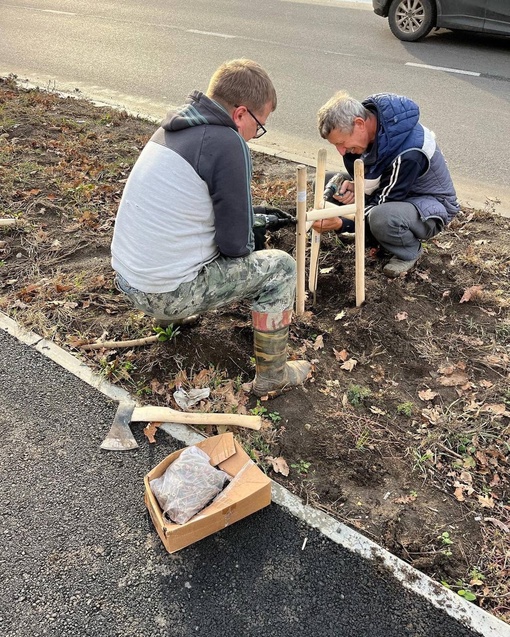 Жители Краснодара продолжают сажать деревья 🌳🌳🌳

Вчера на улице Батуринской высадили более 100 павлоний и..