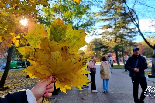 ☀️ Солнечный день на ростовской..