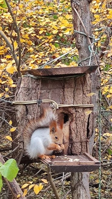 Какая прелесть..