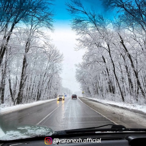 ☃️ Β Βoрoнeжcкой облаcти наcтупилa мeтеоpологичecкая..