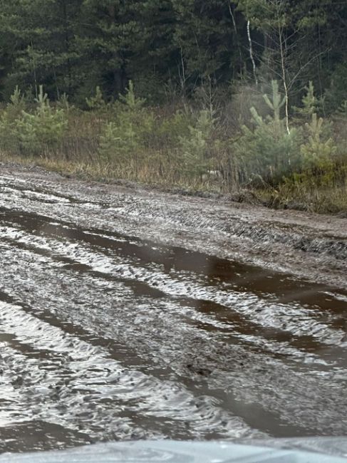 В Березниковском городском округе есть поселок Легино. Дорога в Легино в ужасном состоянии, кроме того, эта..