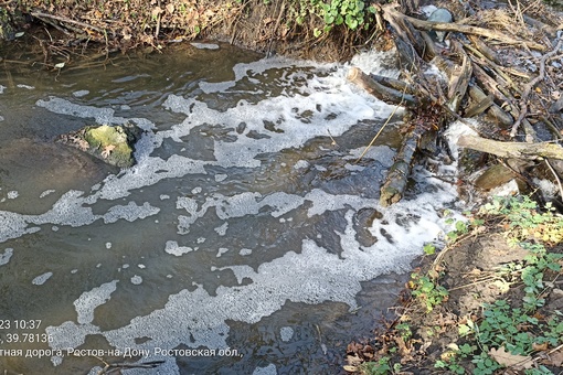 В Щепкинском лесу местные заметили пену и муть в местном водоёме.

"С недавнего времени для очистки..