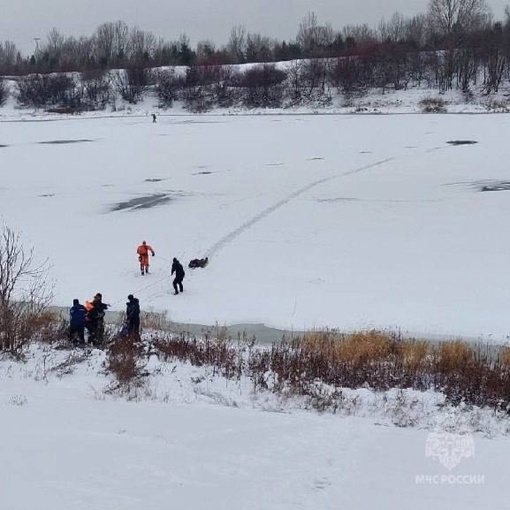 Сотрудники МЧС спасли жизнь рыбаку на Гребном канале

75-летний мужчина провалился под лед в 60 метрах от..