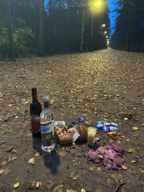 Петербурженка на пробежке по парку «Сосновка» нашла следы неизвестного ритуала. На перекрёстке двух..
