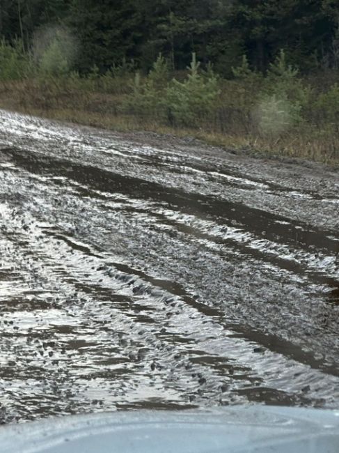 В Березниковском городском округе есть поселок Легино. Дорога в Легино в ужасном состоянии, кроме того, эта..