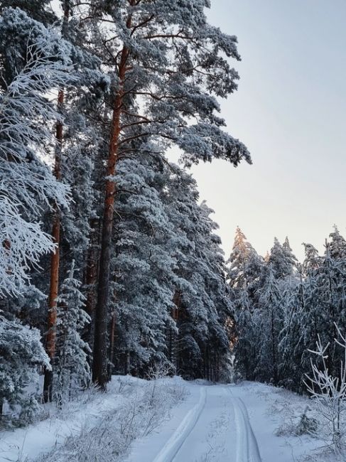 Сосновский район. Песчаный карьер около деревни Рыльково💙

фото Натальи..