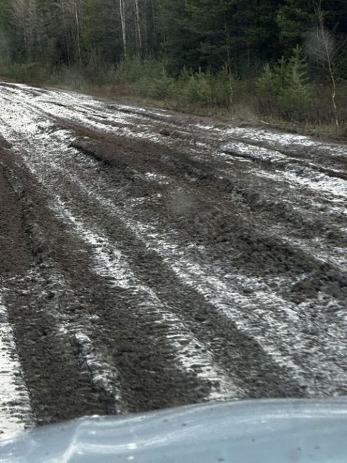 В Березниковском городском округе есть поселок Легино. Дорога в Легино в ужасном состоянии, кроме того, эта..