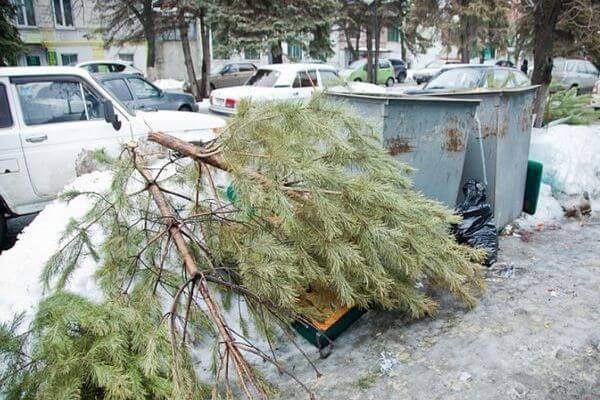 В Самаре после новогодних праздников елку можно будет сдать на переработку 

Полученную щепу регоператор..