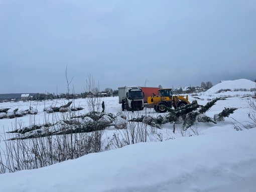 От подписчиков 

Что за беспредел творится в Дейково, Кунгурского района? Выкапывают сосны с корнями и фурами..